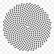 Phyllotaxis